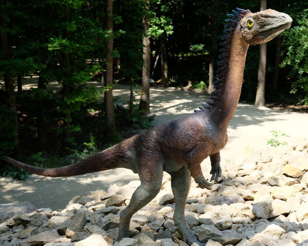 Coelophysis