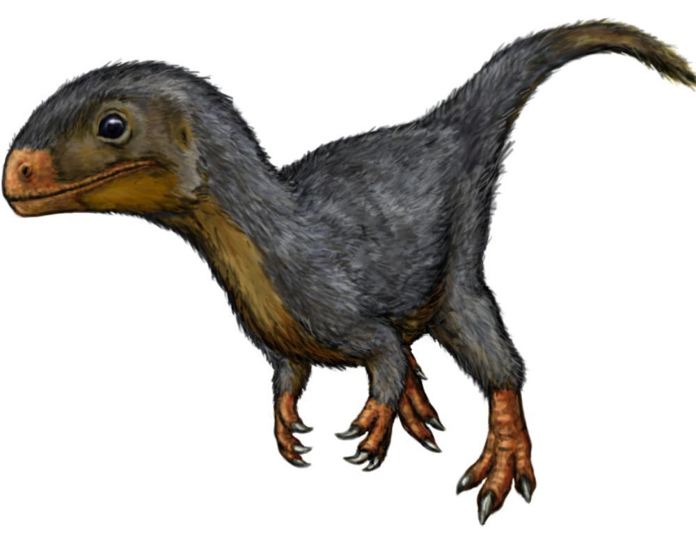 Daemonosaurus