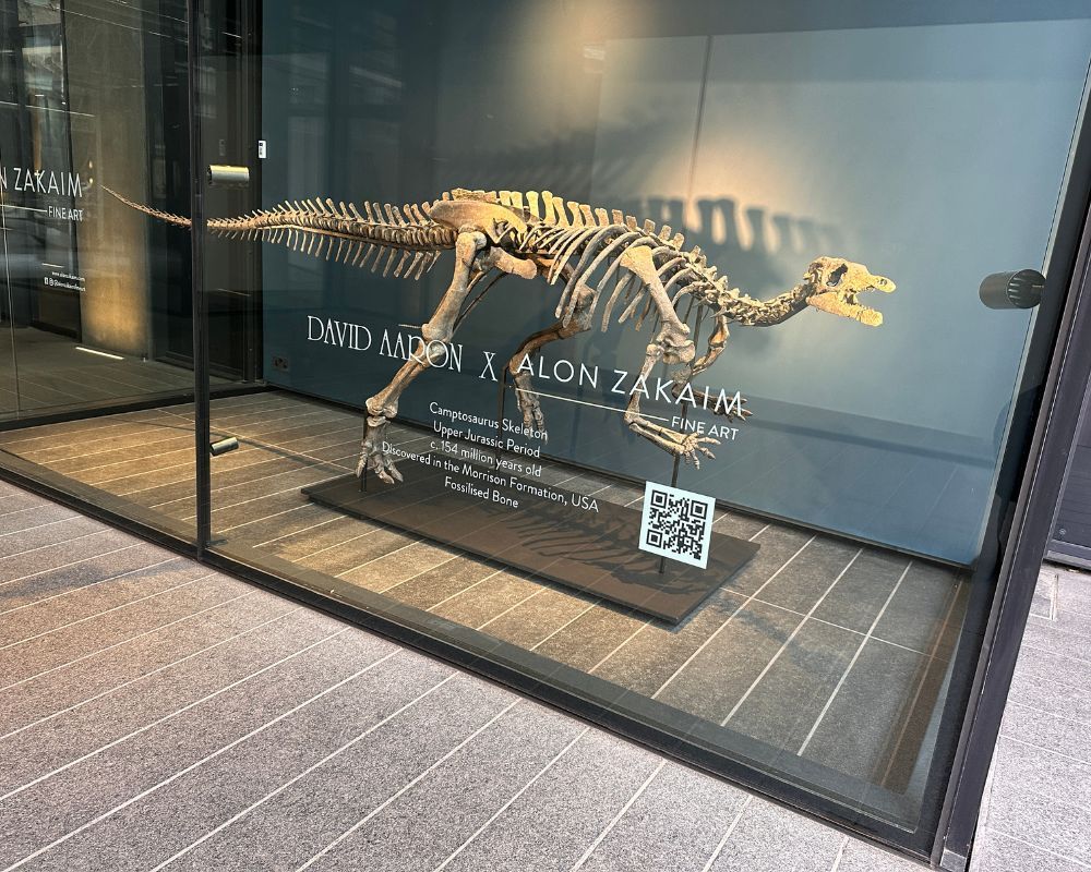 Camptosaurus
