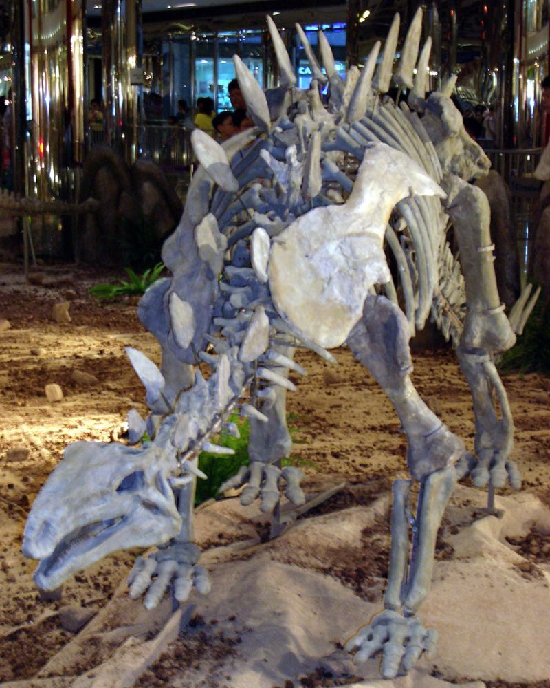 Huayangosaurus