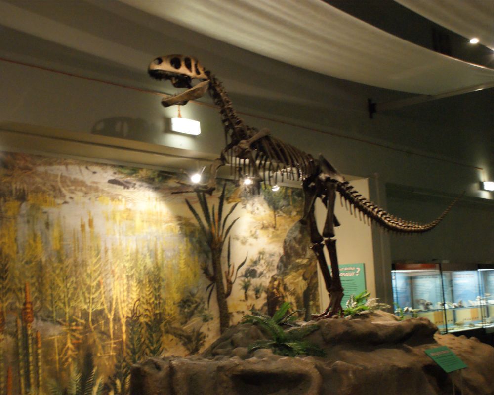 Megalosaurus