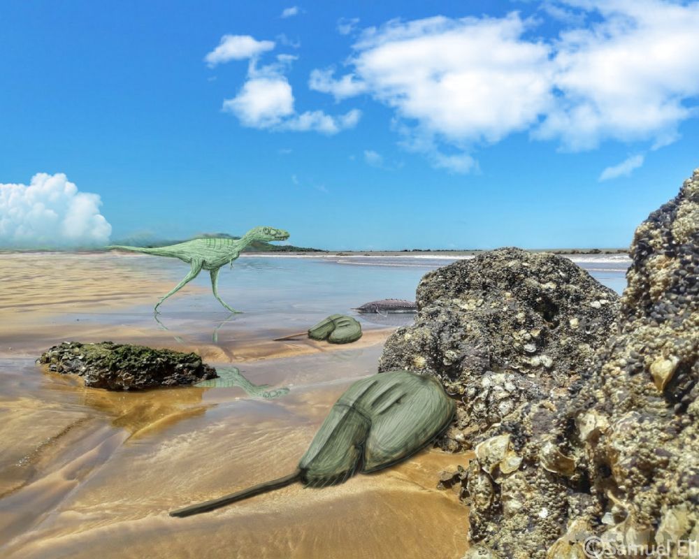 Cretaceous Era
