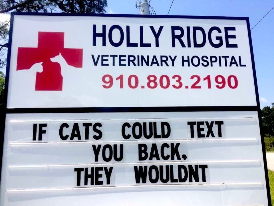 Cats Are Crude