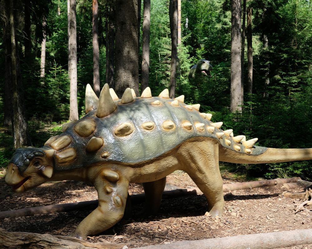 Ankylosaurus