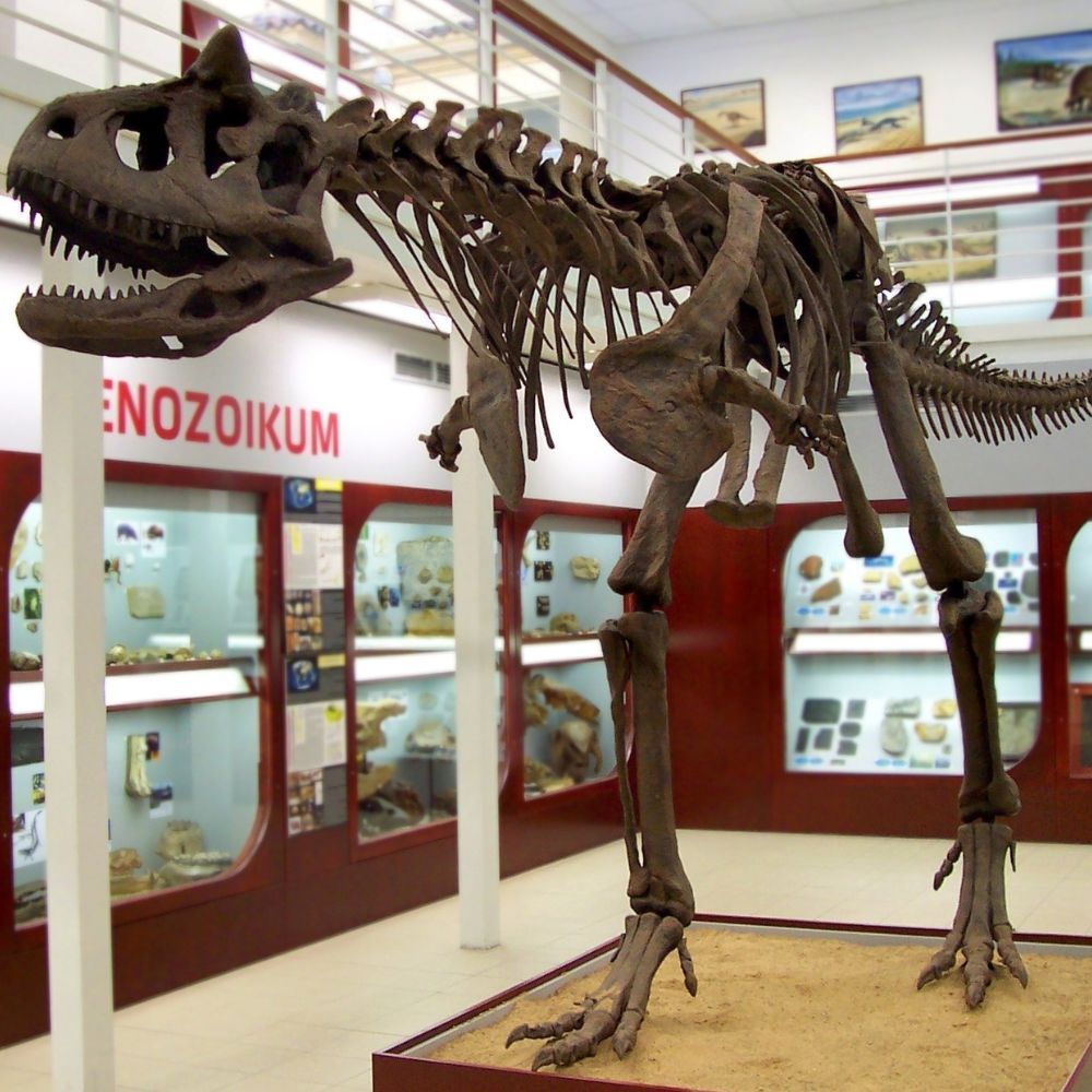 Carnotaurus