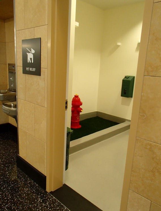 A Toilet For Pets