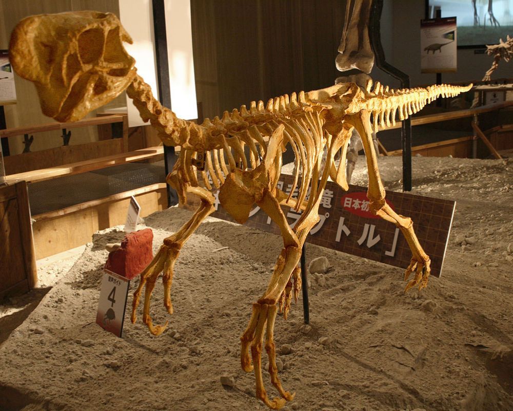 Oviraptor
