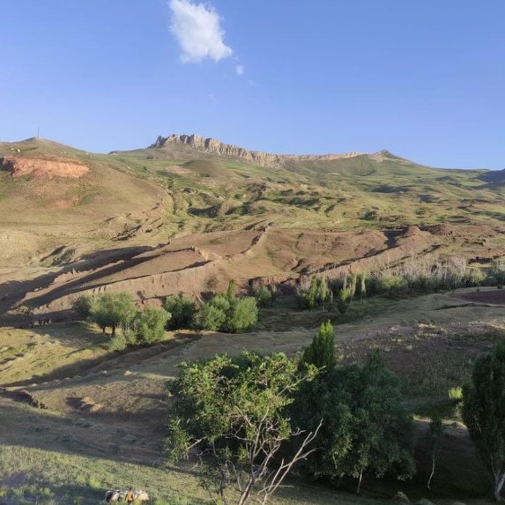 The Durupınar Archaeological Site