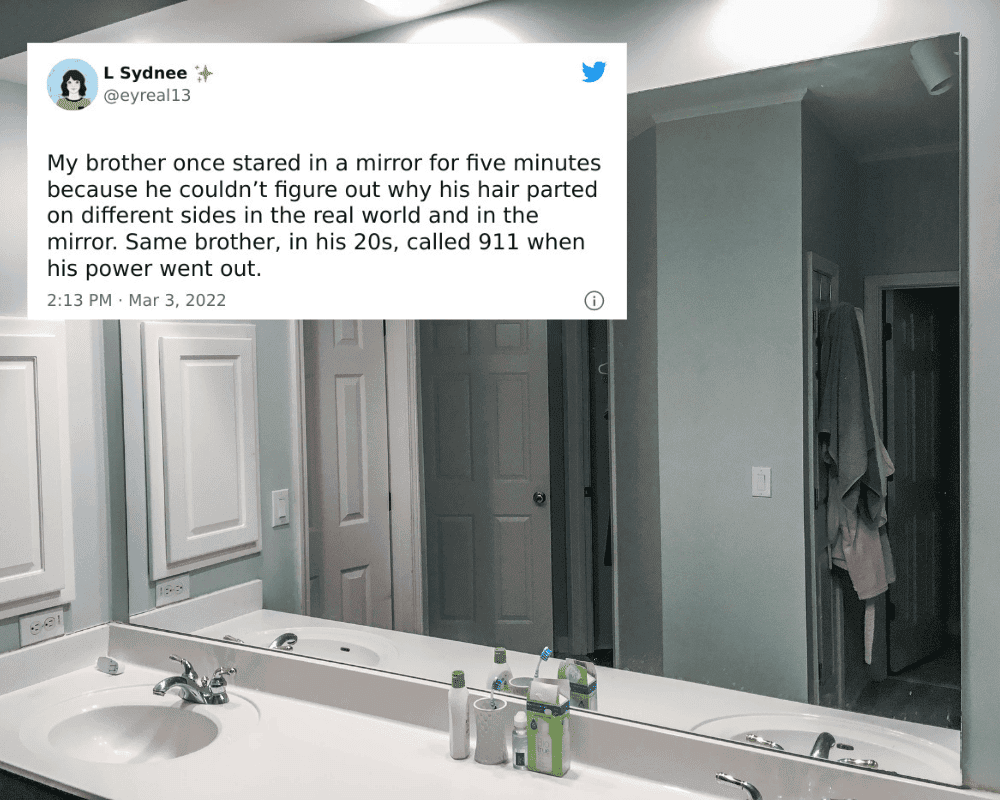 Baffled by a Mirror