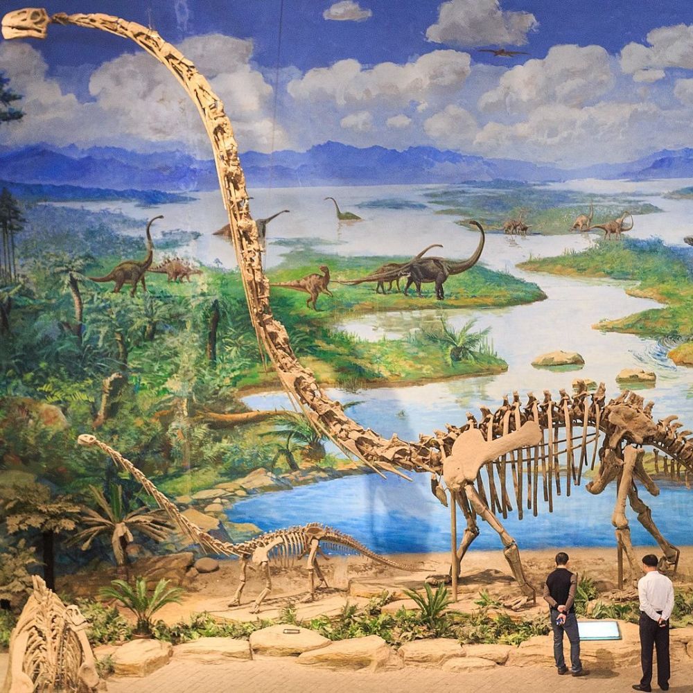 Sauropods