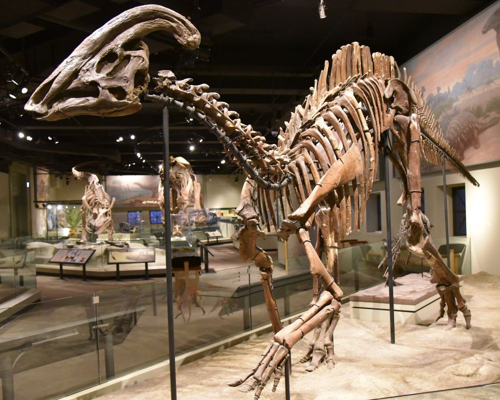 Ornithopods