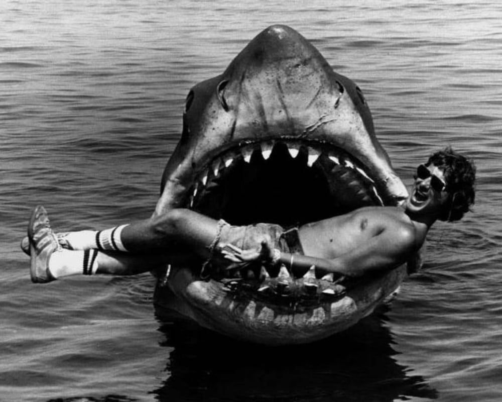 In the Jaws of Creativity