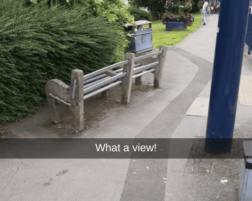 A Park With a View