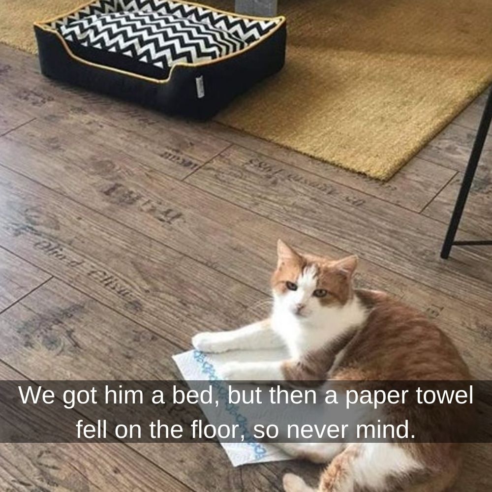 I’ll Hold This