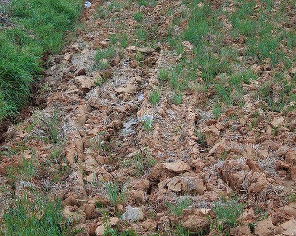Part of the Terrain