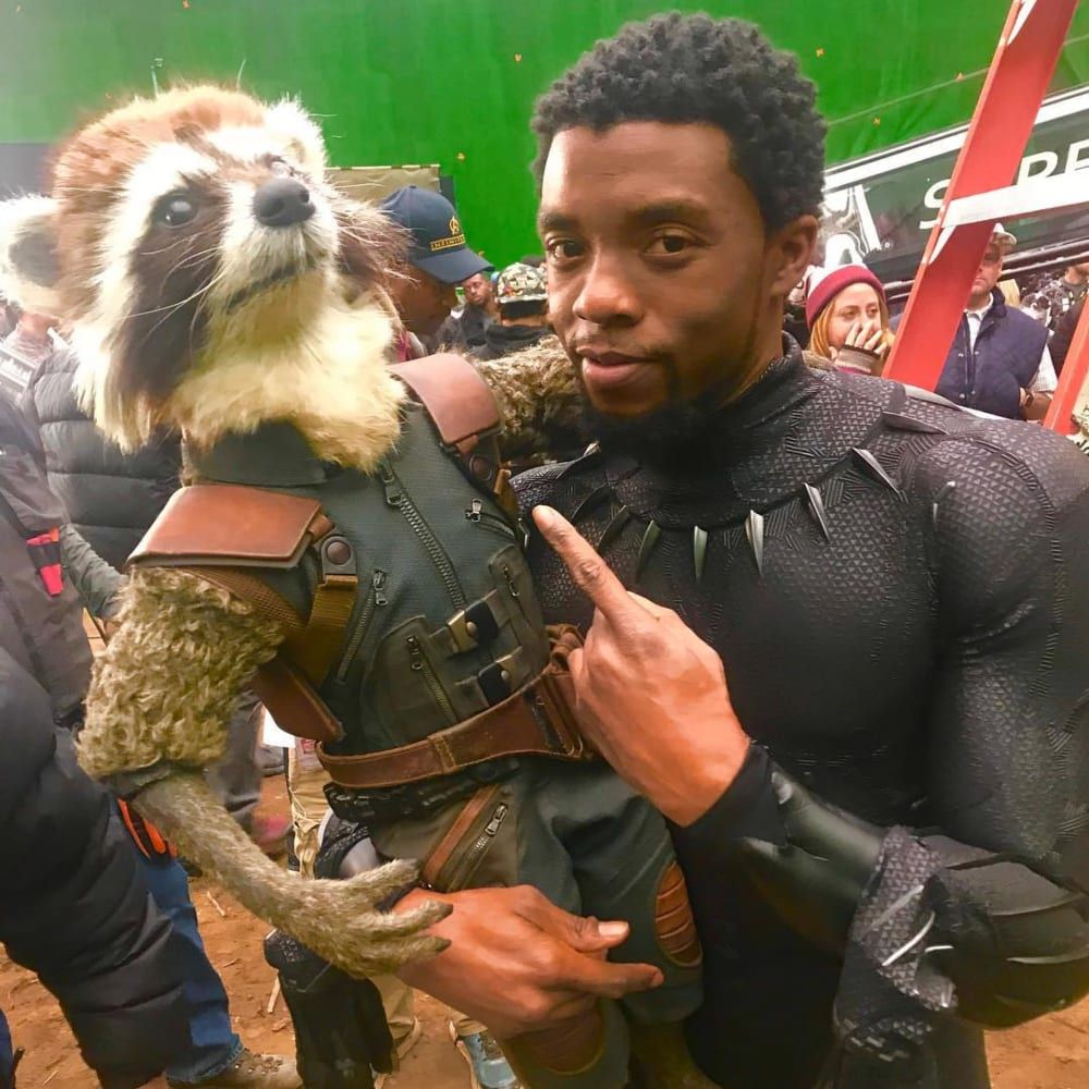 Man's Best Friend, or Something Like That