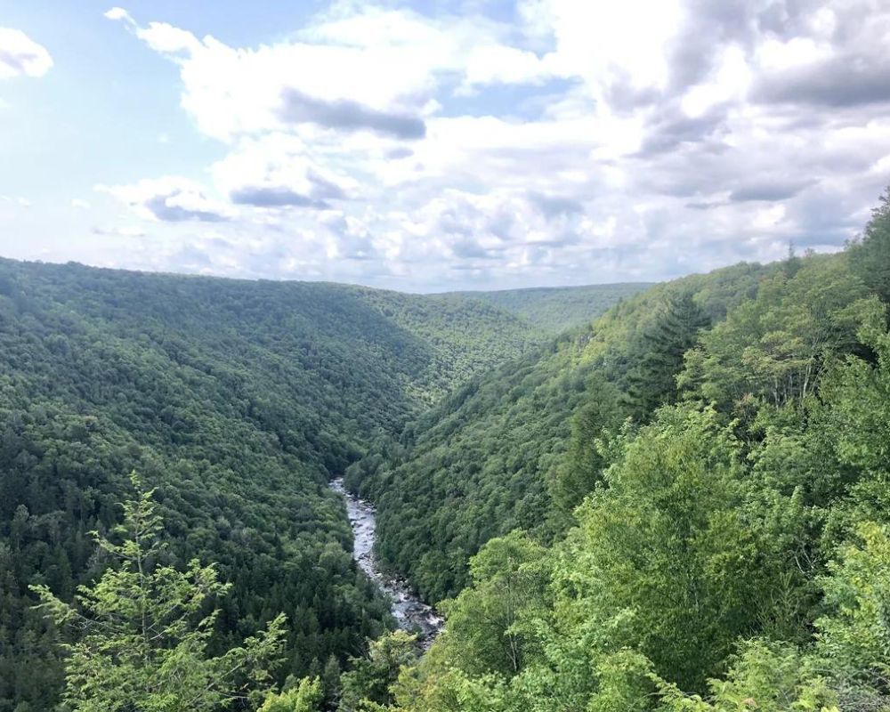 47. West Virginia