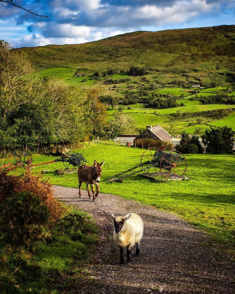 #36. Ireland — GDP per Capita: $103,685