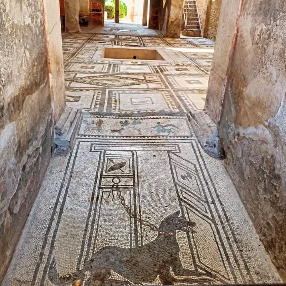 Future Excavations of Pompeii