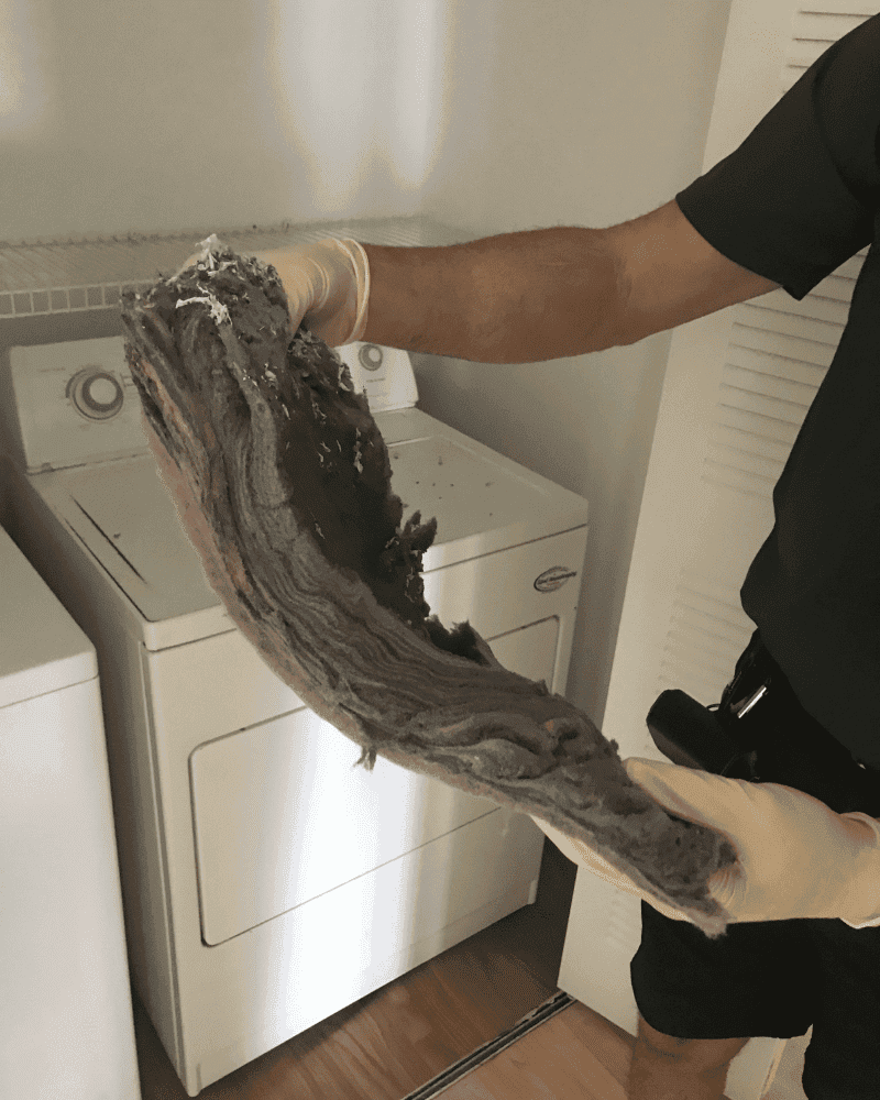 Clean the Lint Out of Your Dryer