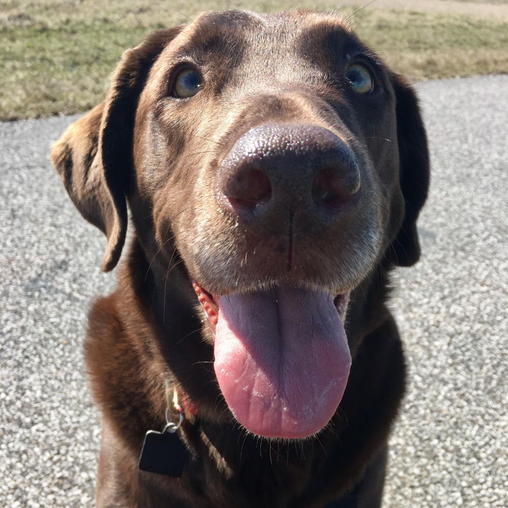 A Surprise Vet Visit