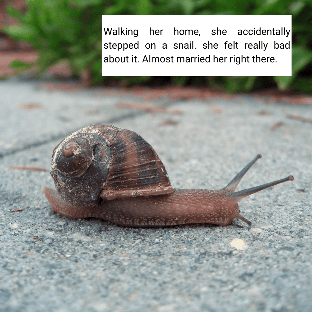 Squashed Snail Sorrows