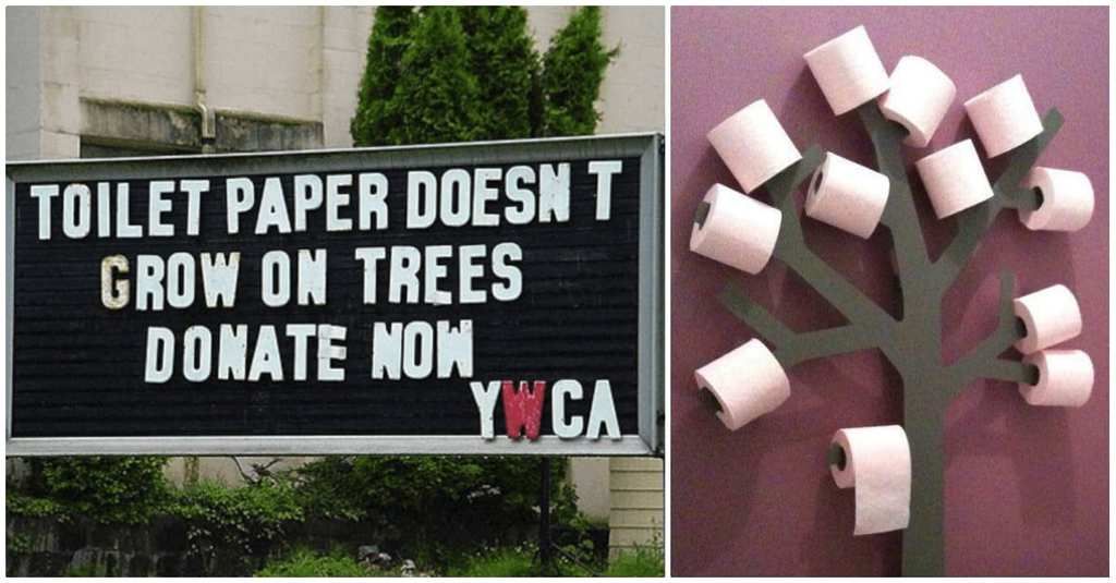 Does Money Grow On Trees?