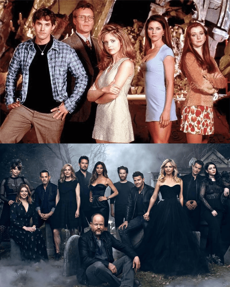 Buffy the Vampire Slayer