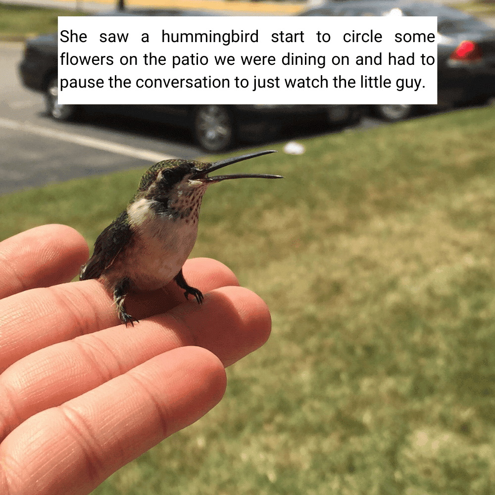 Joy in the Little Things