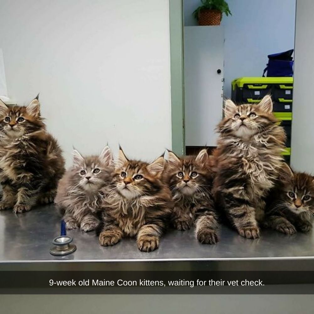 You Have Our Attention