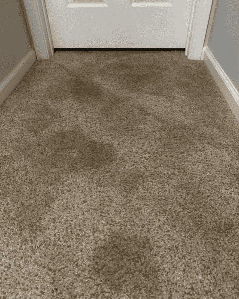Scrubbing the Carpet