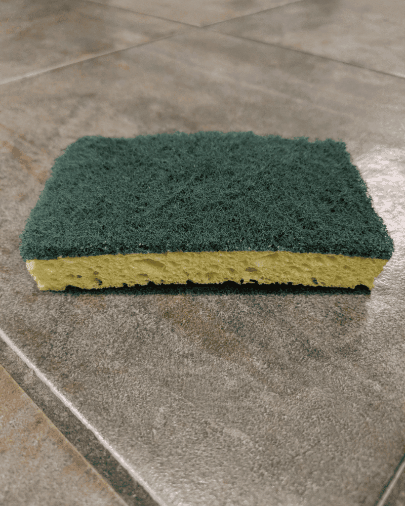 Dirty Sponges Can't Clean