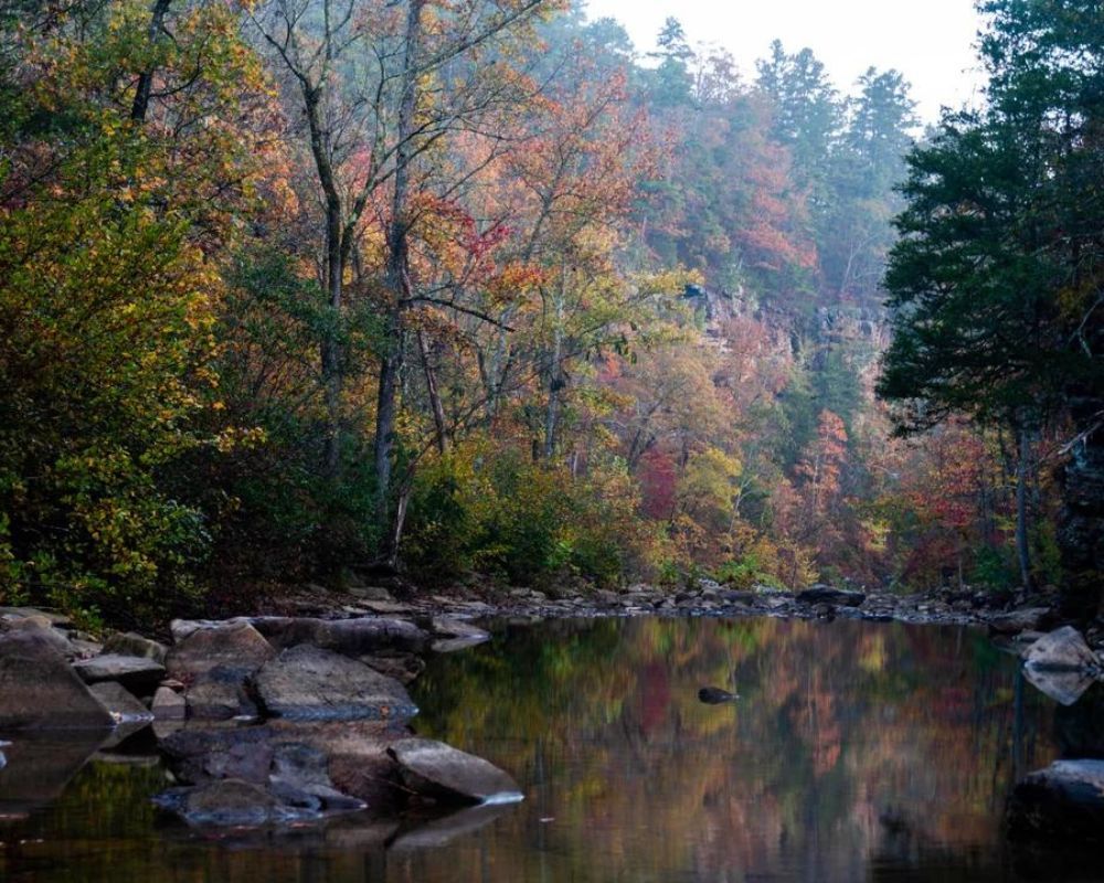 48. Arkansas