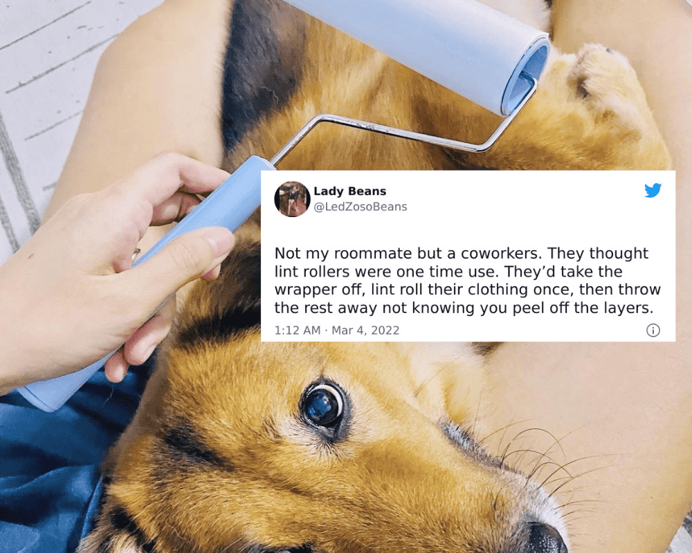 Disposable Lint Rollers