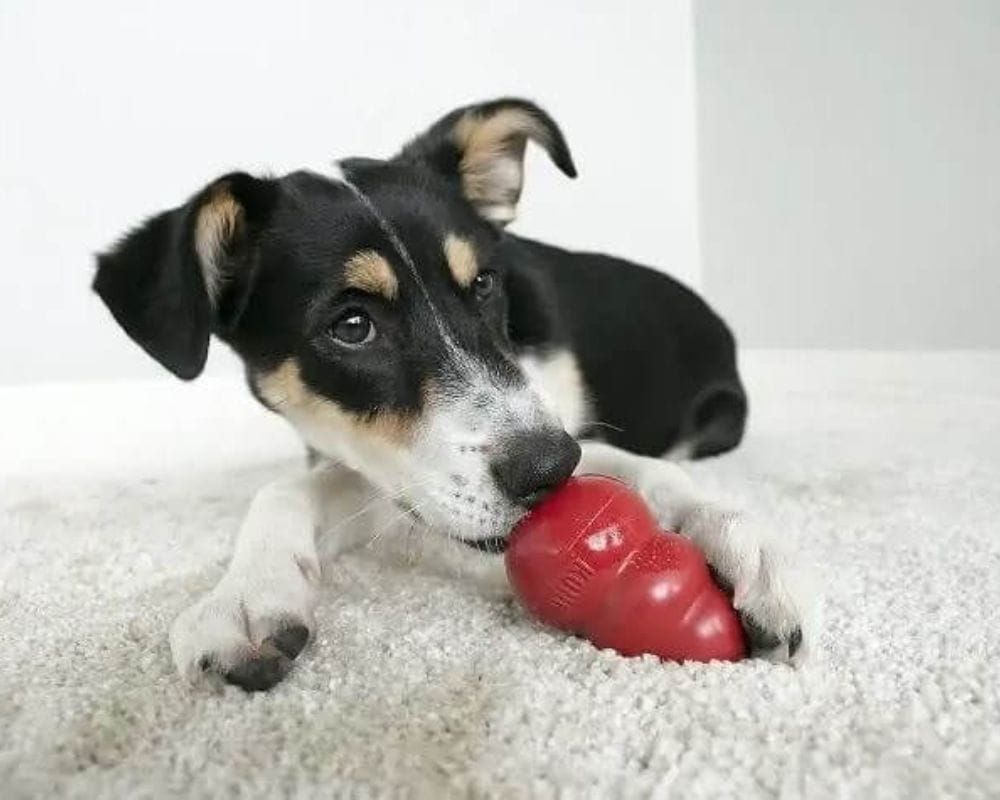Make a Toy More Enjoyable