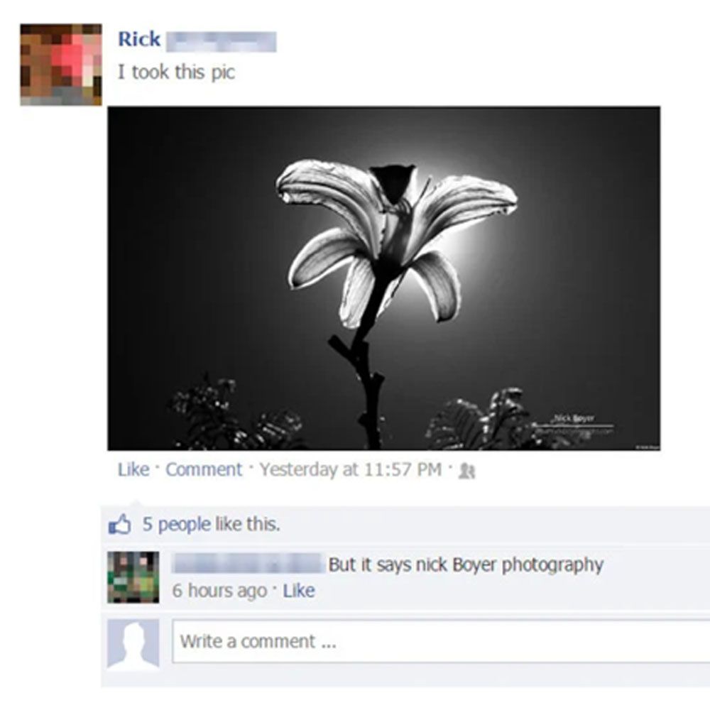 Steal a Photo