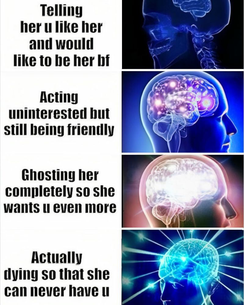 The Male Brain