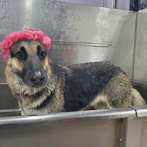 Duşta Bunu Yapıyorsanız, Durun - İşte En Kötü Duş Alışkanlıkları Sıralandı