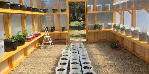 Discover the Charm of DIY Greenhouse Kits: Your Own Backyard Oasis Awaits