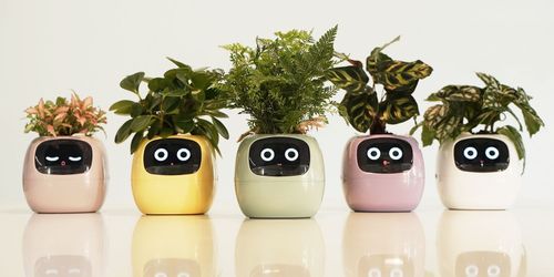 Discover How Smart Flower Pots Are Redefining Gardening for the Future