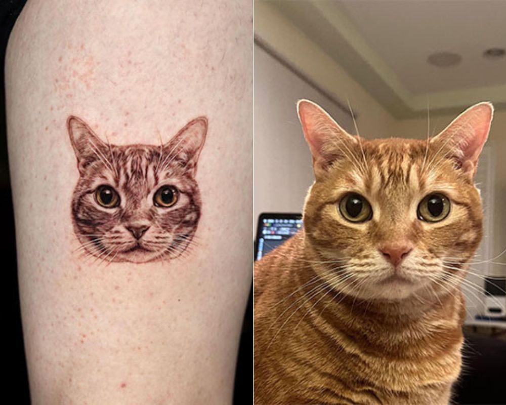 Mesmerizing Meowsterpiece