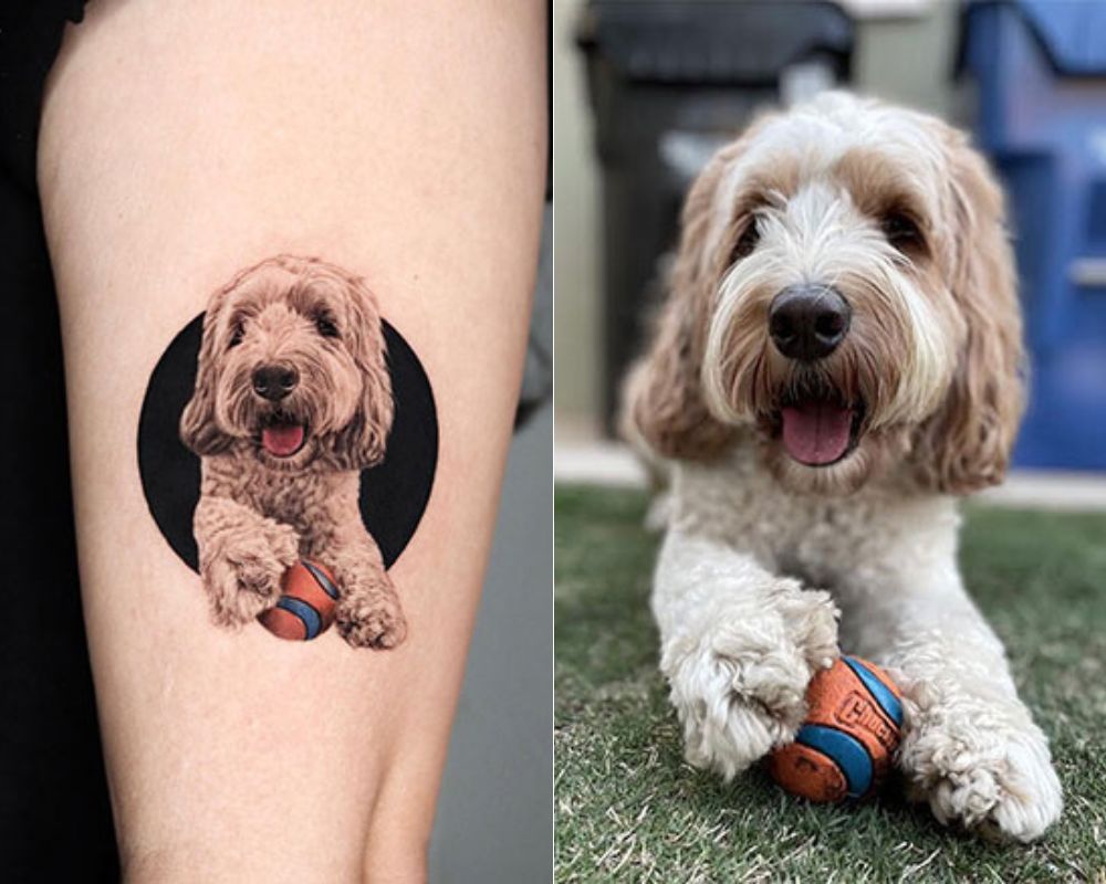 Ballin' With My Best Furry Friend Forever