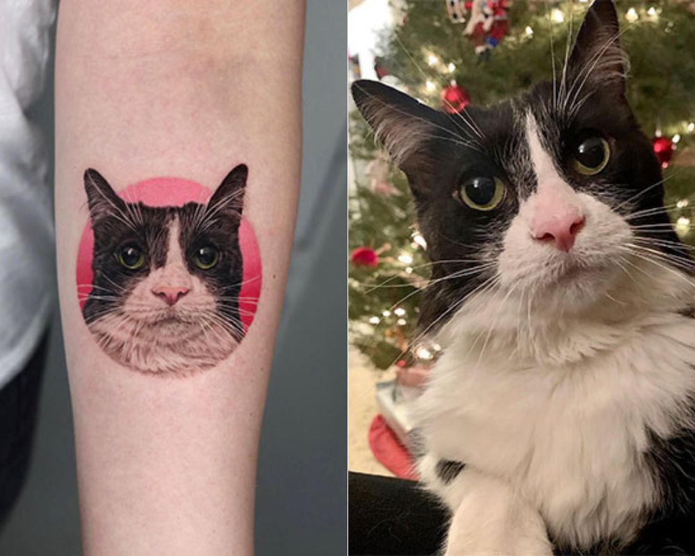 Perfect Paws for the Holidays