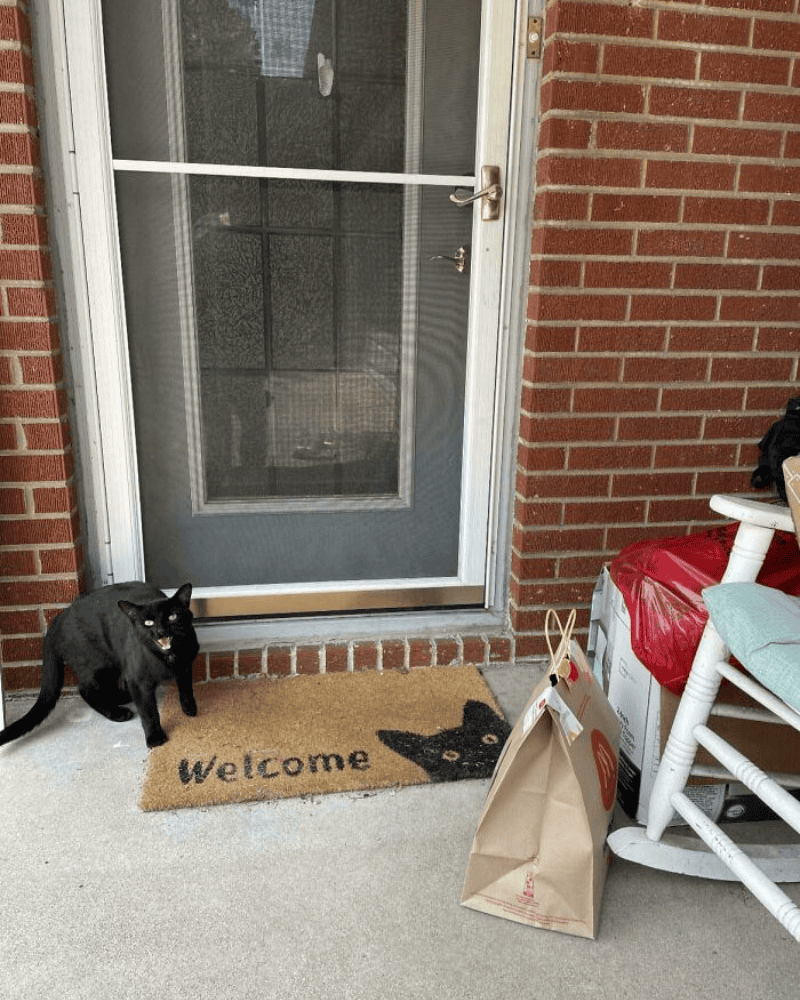Beware the Black Cat