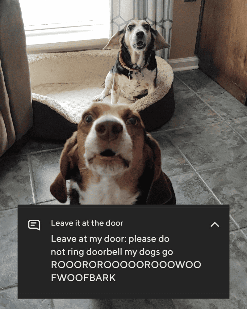 A Doggy Serenade