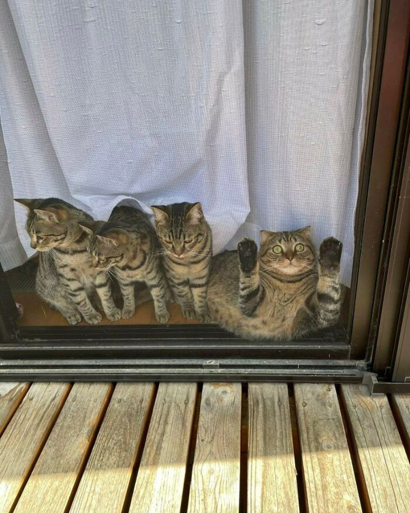 Odd Man Out